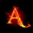 Ann N