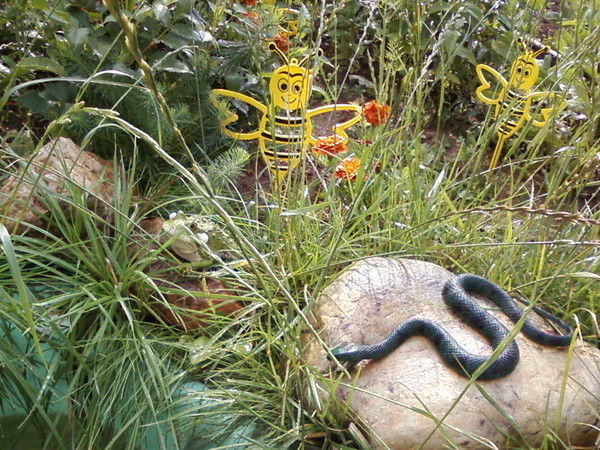 Наталья Николаевна