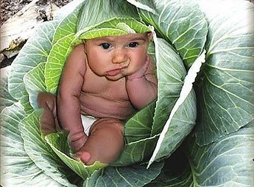 Неизвестно Неизвестно