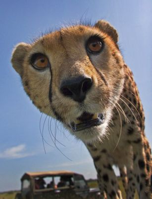 Маша Игнатьева