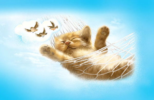 Екатерина Скрипка