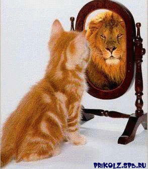 Людмила Новикова