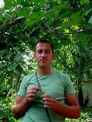 Алексей Красин