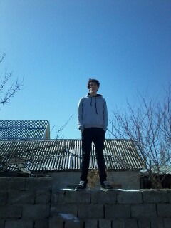 Давид Васин