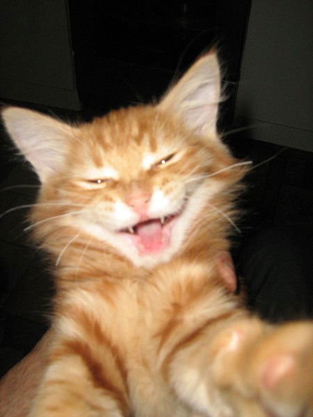 Илья Дмитриевич