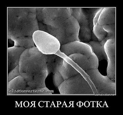 Сергей Новик