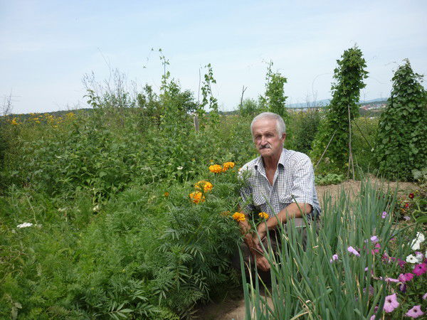 Евгений Ляшин