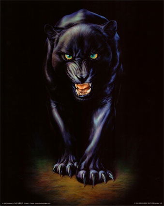 Полина Тимашкова