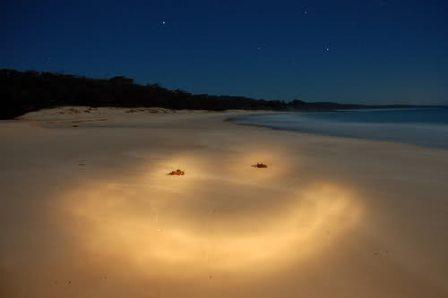 Турагентство "улыбка"