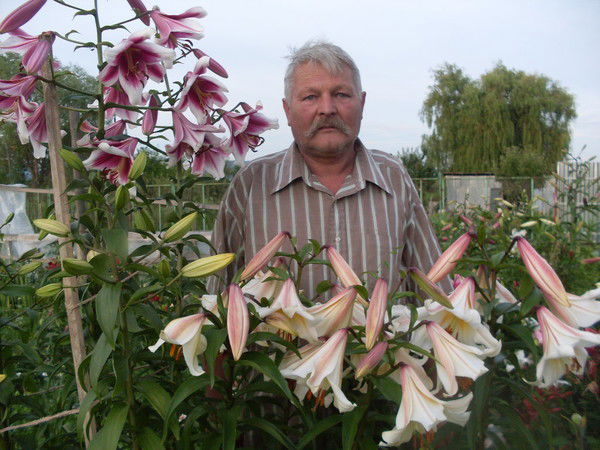 Владимир Михайлович Строин