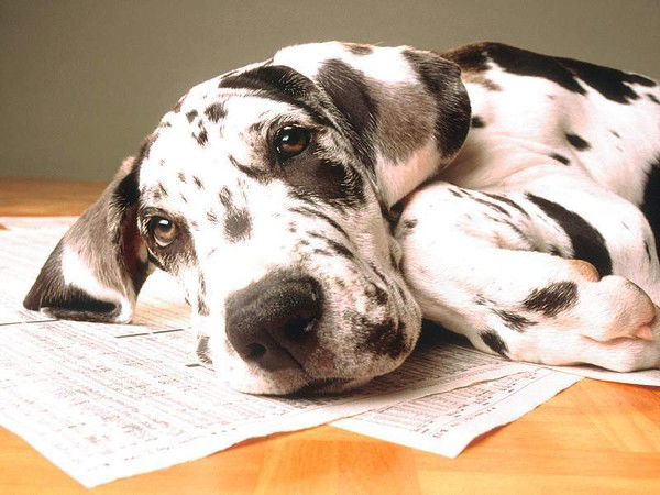 Людмила Барабанова