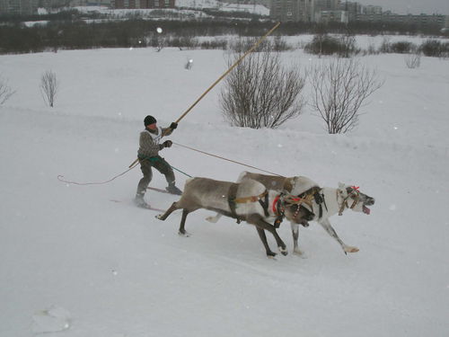 Андрей Пусовский