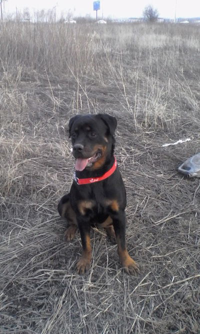 Людмила Ефремова