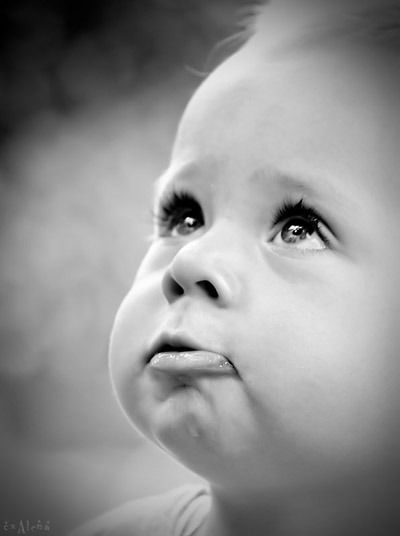 Елена Макарчик