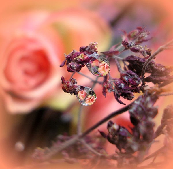 Эльвира Якименко