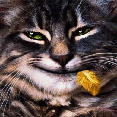 Александр Букоткин