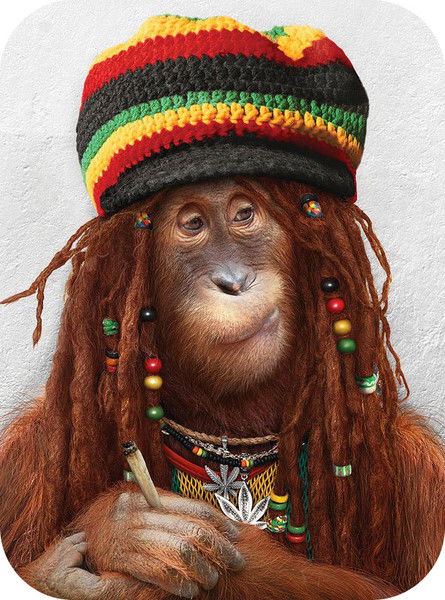 Андрей Север