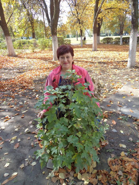 Валентина Макаренко(Цапаева)