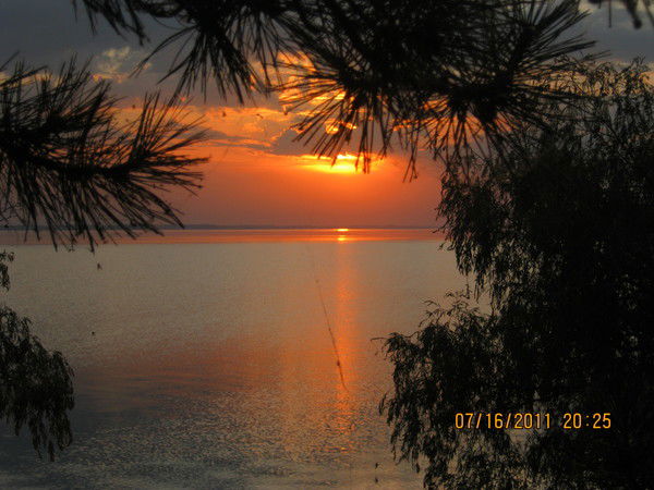 Ольга Кудлай