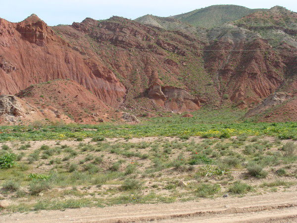 Джамала Бегенджева