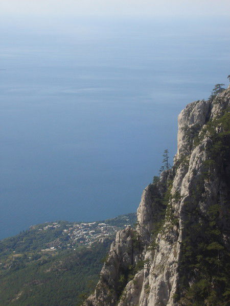 Роман Полешенко