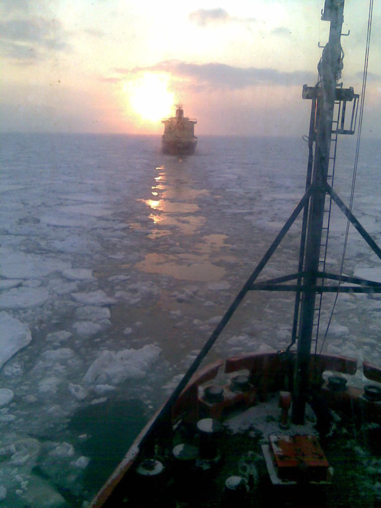 Елена Плахтюкова