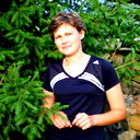 Елена Новикова