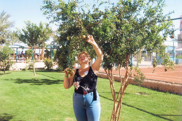 Лариса Острейкина