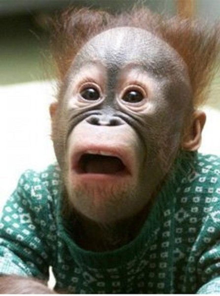 Александр Зайцев