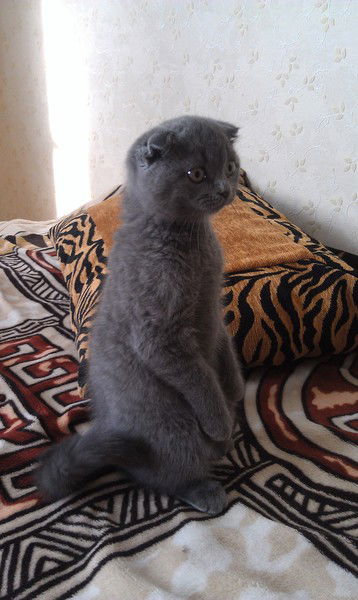 Тёма Нагорный