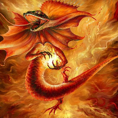 Саламандра Саламандра