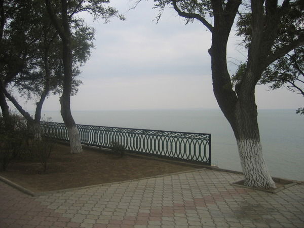 Александр Анищенко