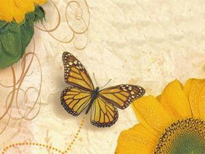 Ботагоз Жумакеева