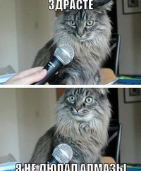 Денис Гапоненко