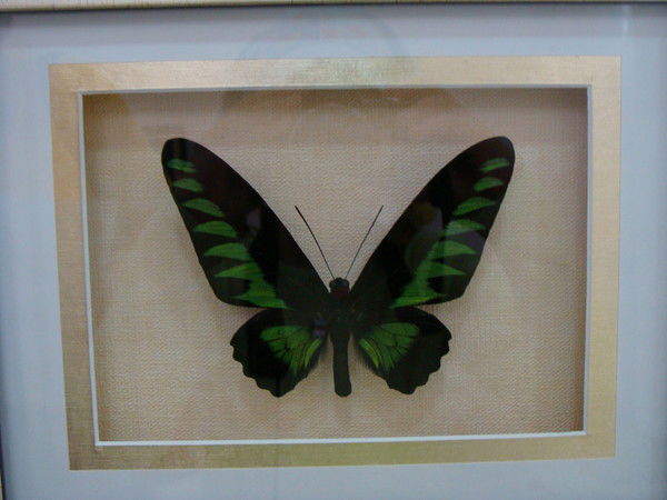 Андрей Осипик