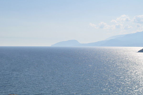 Женя Вербицкий