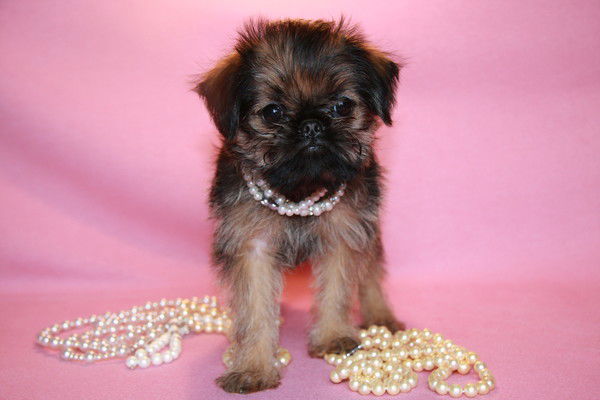 Екатерина Мясникова