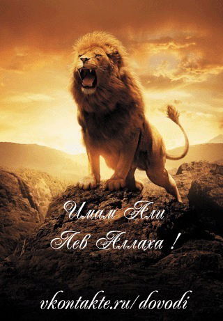 Рамид Рустамов