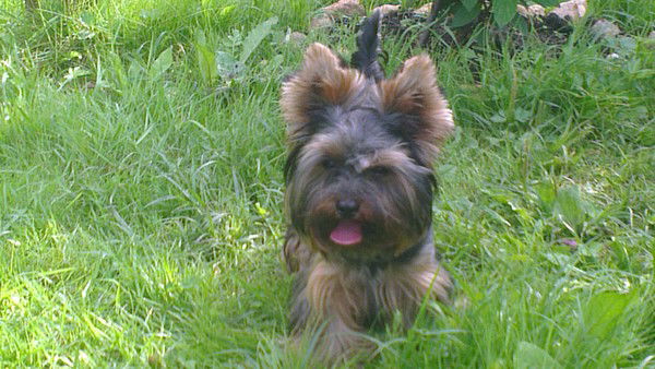 Виктория Зф И Тк Смирнова