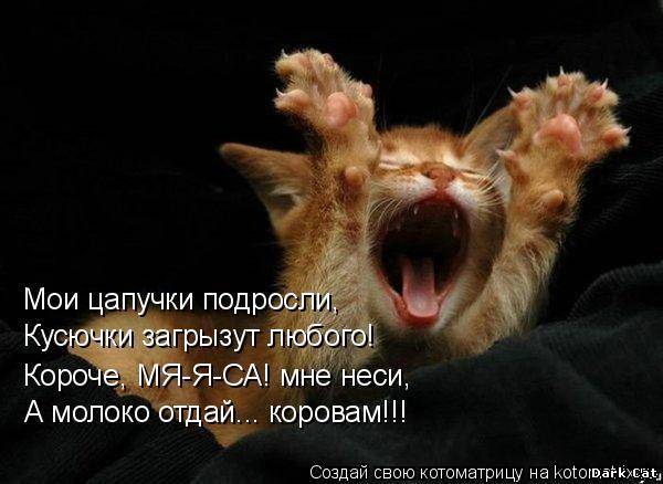 Лика Анжелика