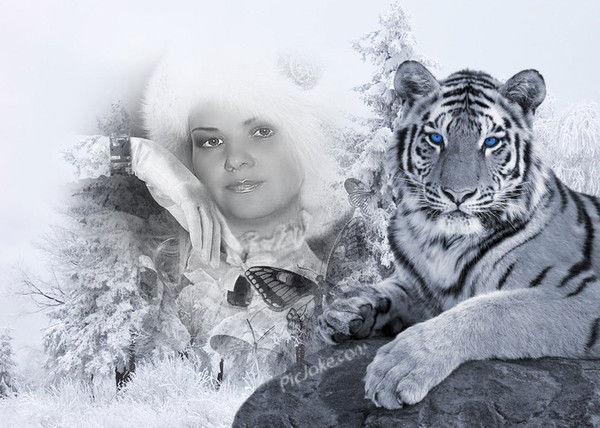 Елена Сельгейм (Ионочева)