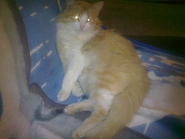 Олег Олежик