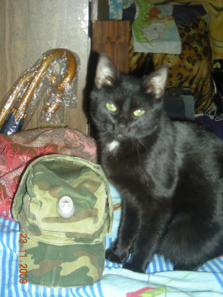 Евгений Соколов