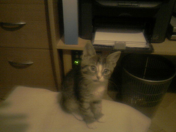 Наталия Малышева