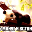 Аридни Авеилатамка