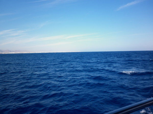 Альбина Бариева