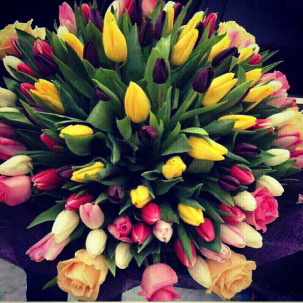 Аяна Нарымбетова