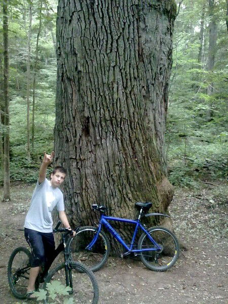 Богдан Расколупов