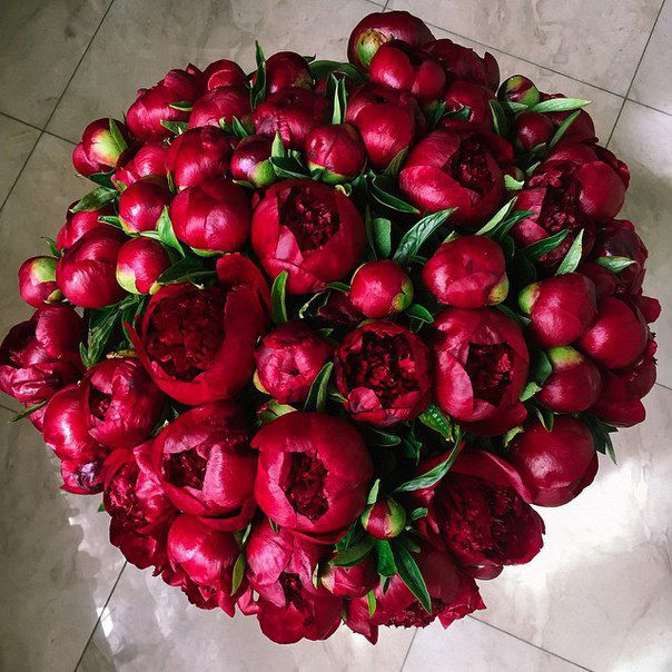 Ильмира Бижанова