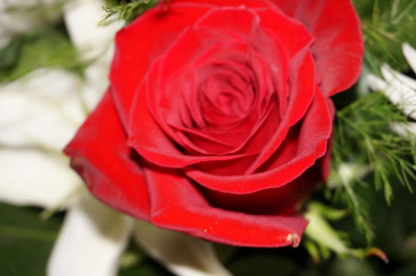 Аня Воронина